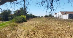 Lote De Terreno Urbano Para Construção Localizado Na Pacata Aldeia De Assentiz_ Rio Maior