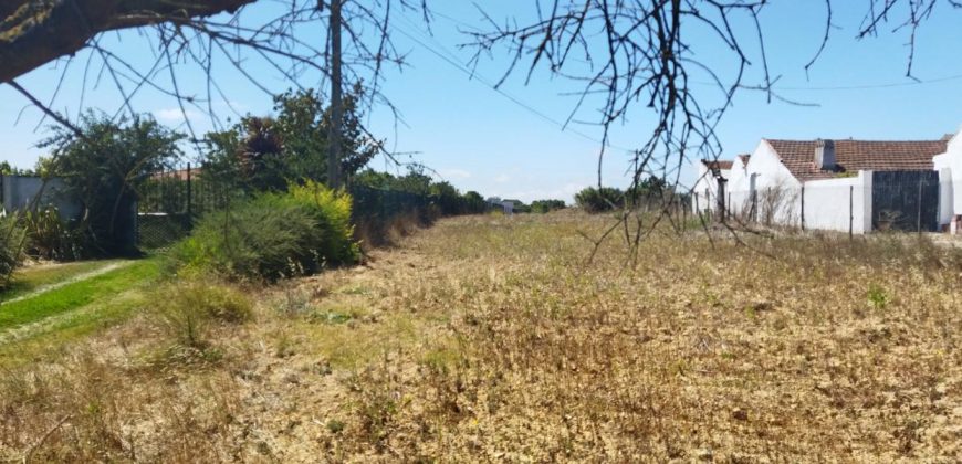 Lote De Terreno Urbano Para Construção Localizado Na Pacata Aldeia De Assentiz_ Rio Maior