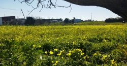 Lote de Terreno C/Viabilidade P/Construção de Moradias Com Max De 2 Pisos