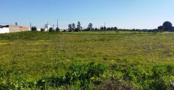 Lote de Terreno C/Viabilidade P/Construção de Moradias Com Max De 2 Pisos