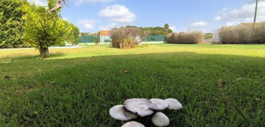 Quintinha C/ Piscina No Pacato Lugar de Vale Bom_ Ribeira de São João_ Rio Maior Quintinha C/ Piscina No Pacato Lugar de Vale Bom_ Ribeira de São João_ Rio Maior