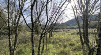 Lote Terreno Rústico Confinante C/Leito Curso  Água Localizado Na Pacata  Aldeia Arruda Dos Pisões.