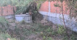 Moradia T1 Arruda dos Pisões _ Rio Maior.