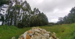 Terreno à venda em Rio Maior