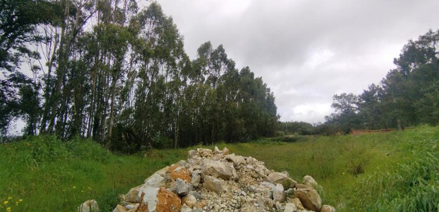 Terreno à venda em Rio Maior