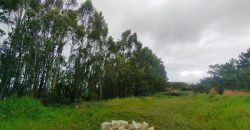 Terreno à venda em Rio Maior