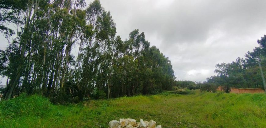 Terreno à venda em Rio Maior