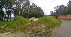 Terreno à venda em Rio Maior