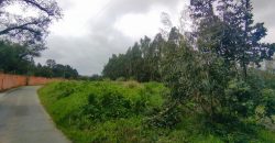 Terreno à venda em Rio Maior