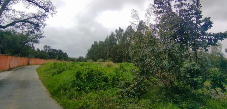 Terreno à venda em Rio Maior