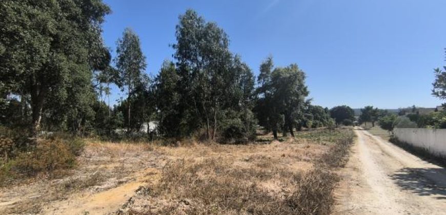 Terreno à venda , Principal s/n