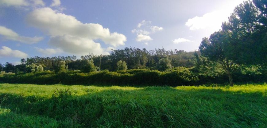 Terreno à venda , 114 s/n