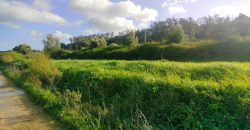 Terreno à venda , 114 s/n