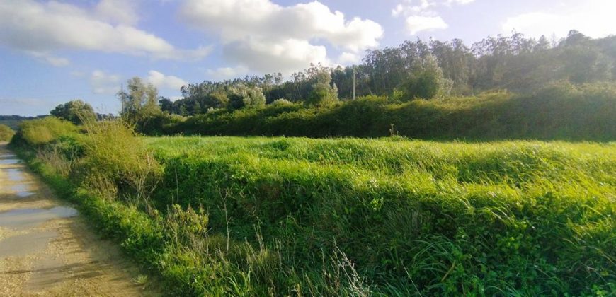 Terreno à venda , 114 s/n