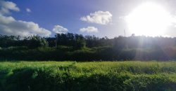 Terreno à venda , 114 s/n