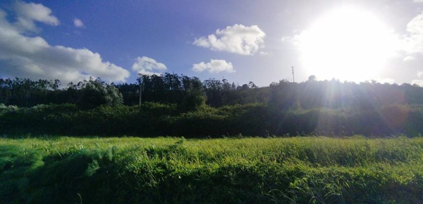Terreno à venda , 114 s/n