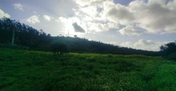 Terreno à venda , 114 s/n