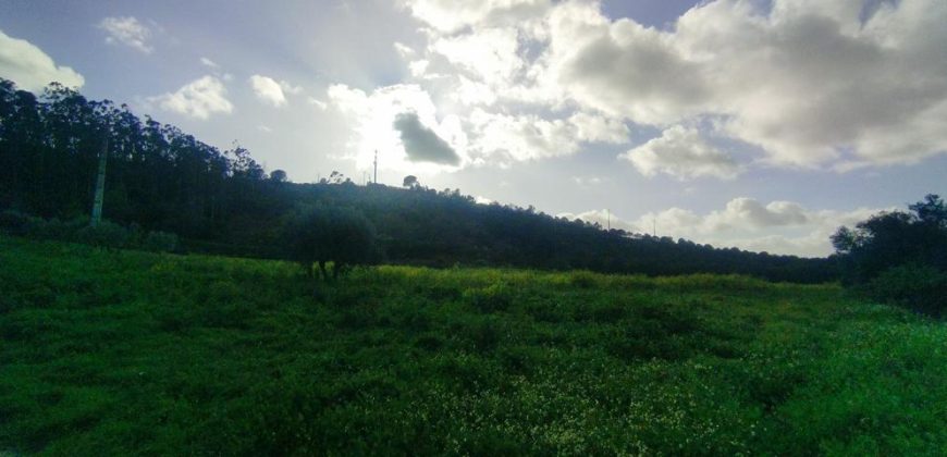 Terreno à venda , 114 s/n