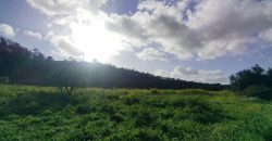 Terreno à venda , 114 s/n
