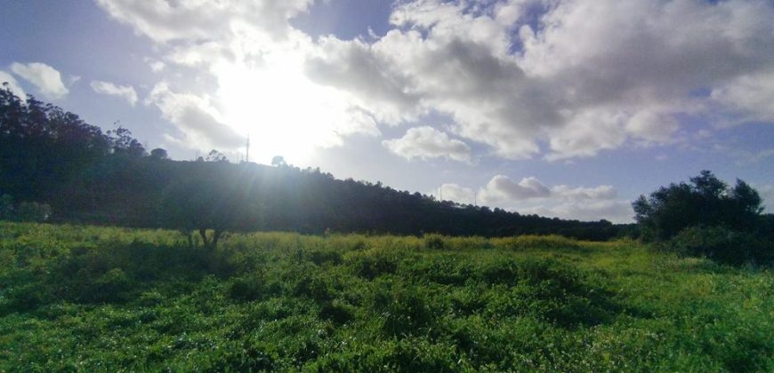 Terreno à venda , 114 s/n