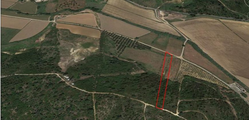 Terreno à venda , 114 s/n