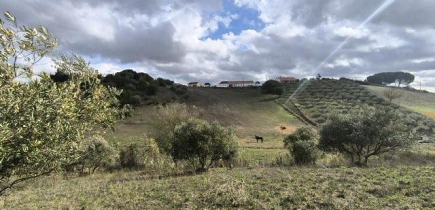 Terreno à venda na Rua 8 de Setembro