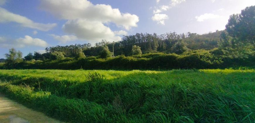 Terreno à venda , 114 s/n