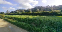 Terreno à venda , 114 s/n