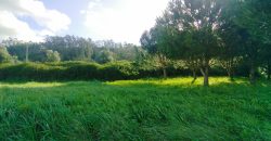 Terreno à venda , 114 s/n