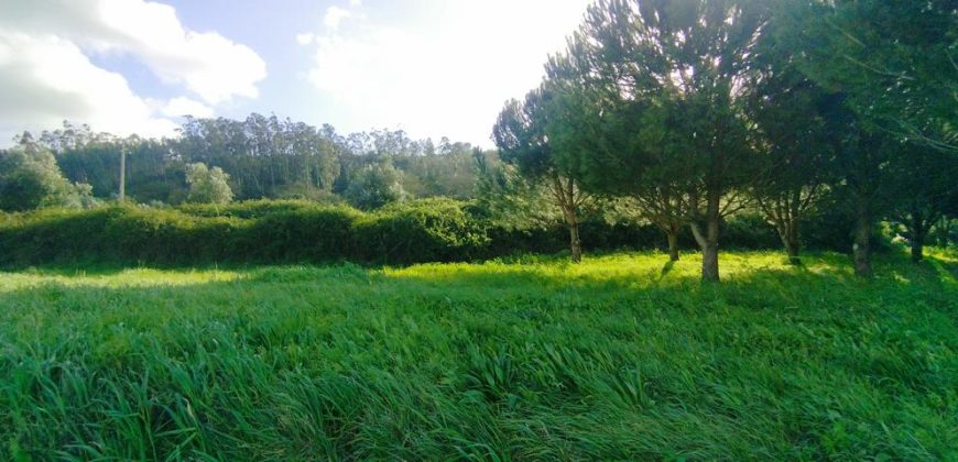 Terreno à venda , 114 s/n