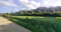 Terreno à venda , 114 s/n