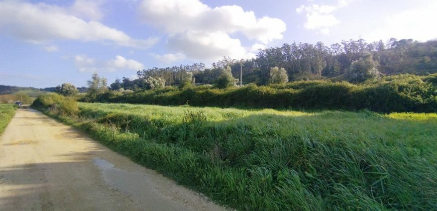 Terreno à venda , 114 s/n