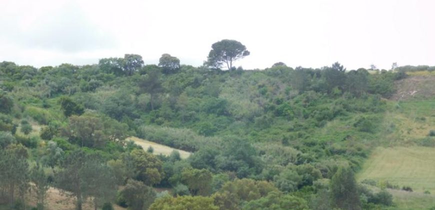 Terreno à venda , Serranha