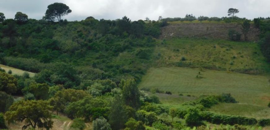 Terreno à venda , Serranha