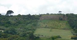 Terreno à venda , Serranha