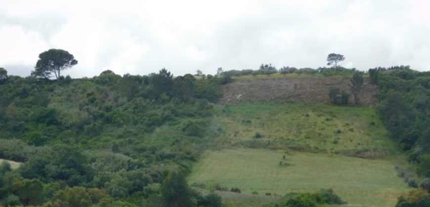 Terreno à venda , Serranha