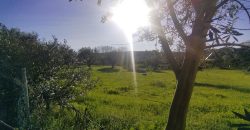Terreno à venda na Estrada Principal de Ribeira De Fráguas