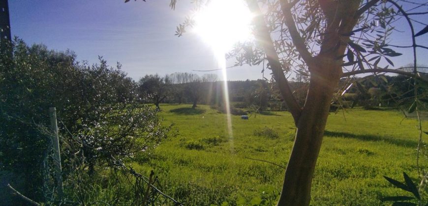 Terreno à venda na Estrada Principal de Ribeira De Fráguas