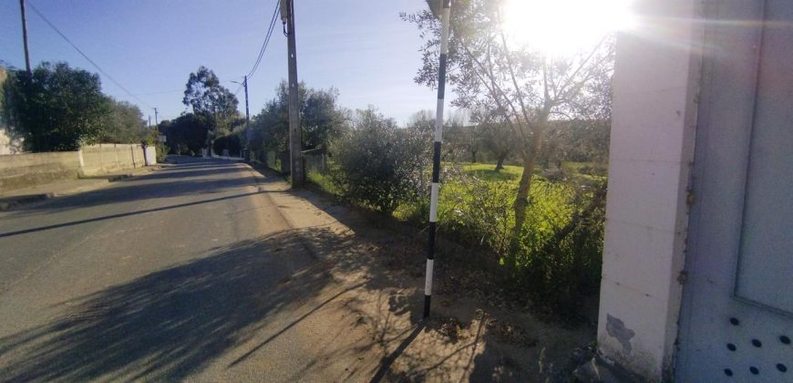 Terreno à venda na Estrada Principal de Ribeira De Fráguas