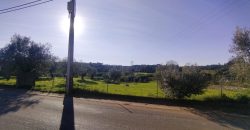 Terreno à venda na Estrada Principal de Ribeira De Fráguas