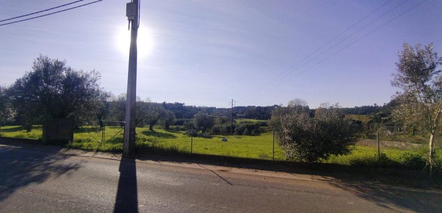 Terreno à venda na Estrada Principal de Ribeira De Fráguas