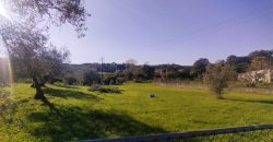 Terreno à venda na Estrada Principal de Ribeira De Fráguas