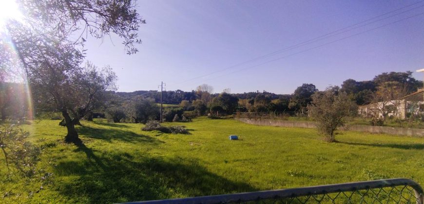 Terreno à venda na Estrada Principal de Ribeira De Fráguas