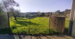Terreno à venda na Estrada Principal de Ribeira De Fráguas