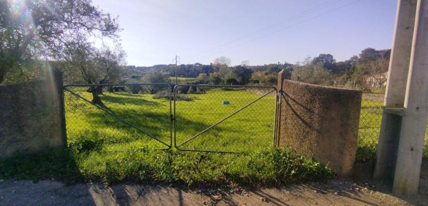 Terreno à venda na Estrada Principal de Ribeira De Fráguas