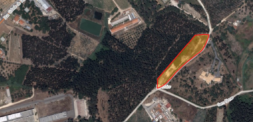 Terreno à venda em Rio Maior