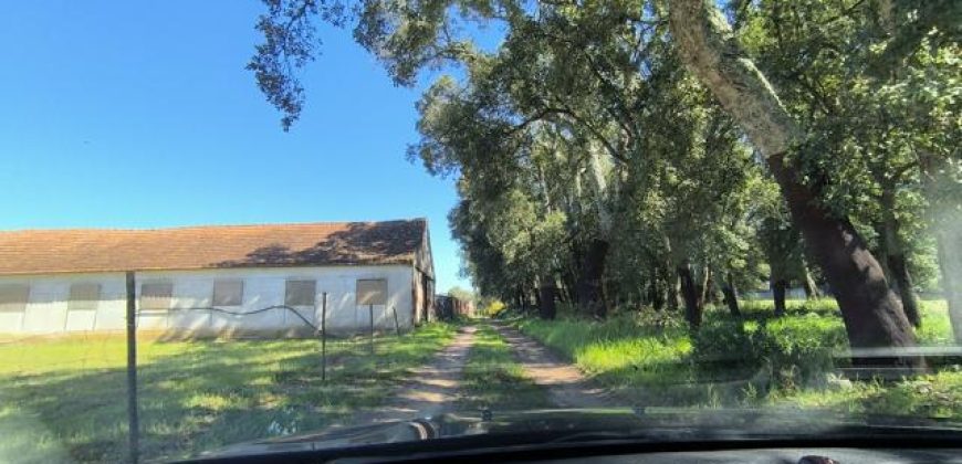 Terreno à venda , fráguas s/n