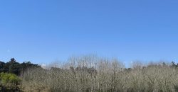 Terreno à venda , fráguas s/n