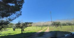 Terreno à venda , fráguas s/n