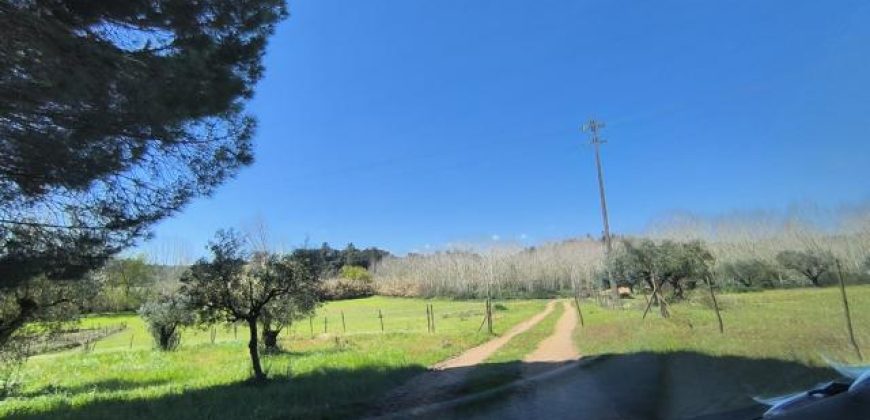 Terreno à venda , fráguas s/n